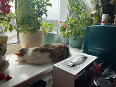 Blog photo